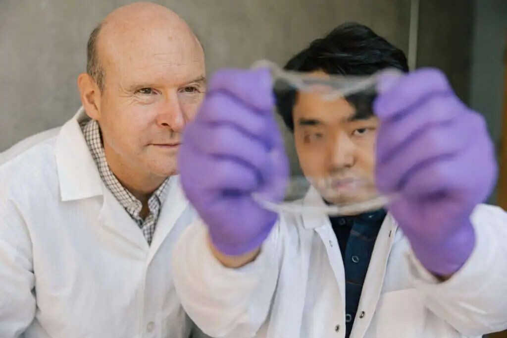 UBC's Professor John Madden and U of T doctoral student Yuta Dobashi